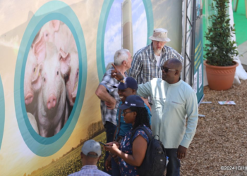 Luxembourg, Belgium: Rwandan Pig Breeders Participate in Agricultural and Livestock Exhibition